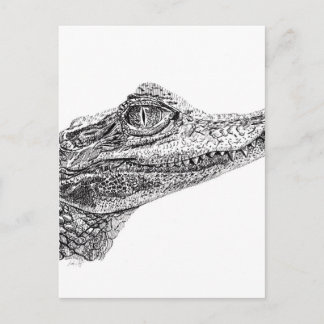 Cartão Postal Desenho de Tinta Crocodilo Bebê