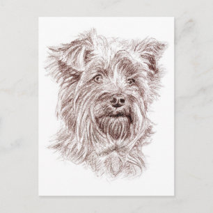 Cartão Postal Desenho de Yorkshire Terrier