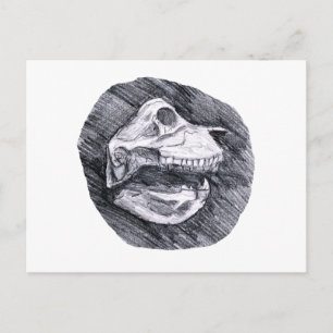 Cartão Postal Desenho do crânio esboço imaginário de animais