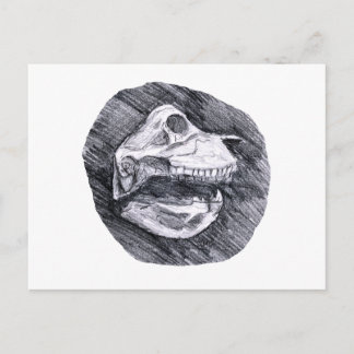 Cartão Postal Desenho do crânio esboço imaginário de animais