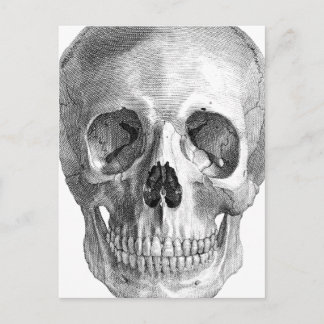 Cartão Postal Desenho do esboço da anatomia do crânio humano