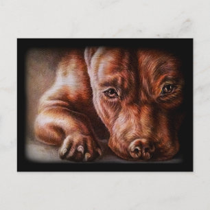 Cartão Postal Desenho do rosto pitbull castanho do cão retrato d