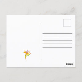 Cartão Postal Desenho em aquarela de um papagaio-católico