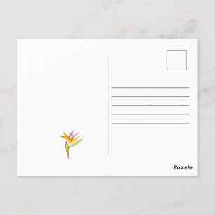 Cartão Postal Desenho em aquarela de um papagaio-católico