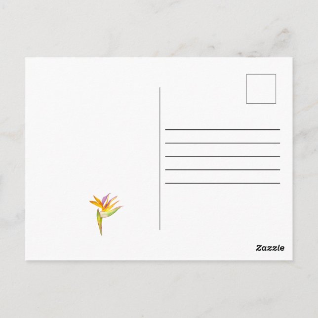 Cartão Postal Desenho em aquarela de um papagaio-católico (Verso)