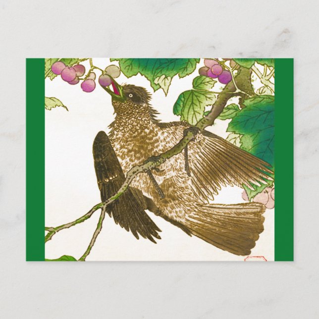 Cartão Postal Desenho Japonês de Jay em uma Videira (Frente)