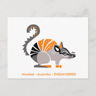 Cartão Postal Desenho manual - NUMBAT - Marsupial - Austrália