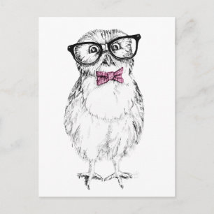Cartão Postal Desenho Nerdy Owlet pequeno e inteligente