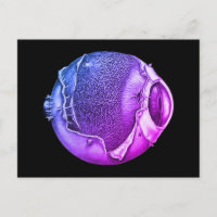 Desenho Roxo de Detalhe do Olho de Vintage Moderno