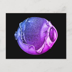Cartão Postal Desenho Roxo de Detalhe do Olho de Vintage Moderno
