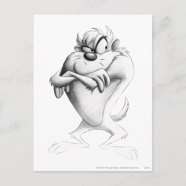 Cartão Postal Desenho TAZ™ (Frente)