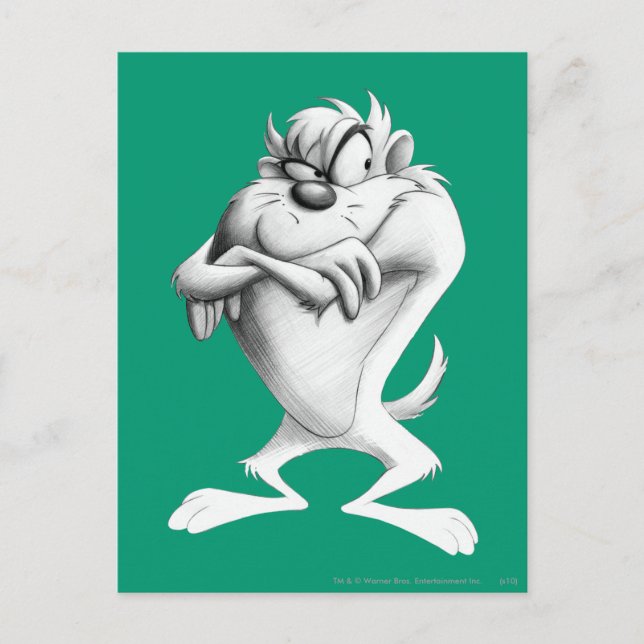 Cartão Postal Desenho TAZ™ (Frente)