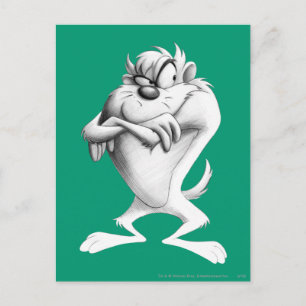Cartão Postal Desenho TAZ™