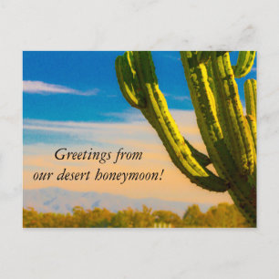Cartão Postal Desert Cactus Saguaro Honeymoon Obrigado