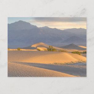 Cartão Postal Desert Dawn