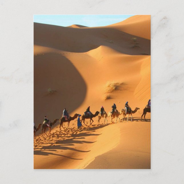 Cartão Postal desert-morocco-sahara (Frente)