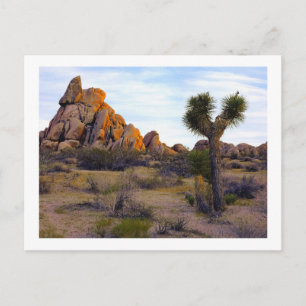 Cartão Postal " Desert Soft Light "