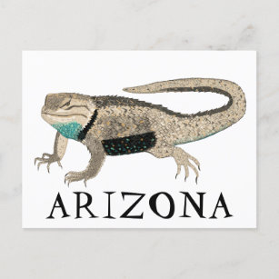 Cartão Postal Desert Spiny Lizard ARIZONA Natureza Selvagem Anim