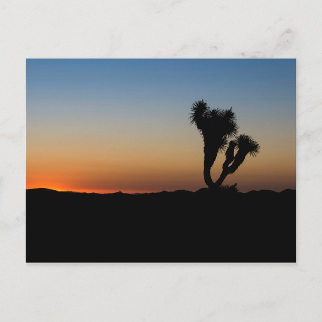 Cartão Postal Desert Sunrise (Frente)