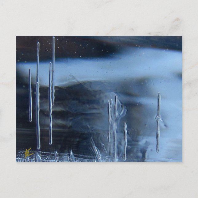 Cartão Postal Desert Vision Quest, Saguaro à Noite (Frente)