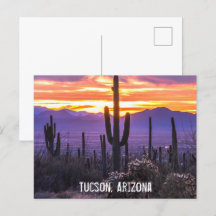 Deserto arizona Cactus Sunset Nature Foto Souvenir