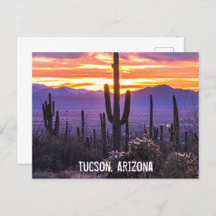 Cartão Postal Deserto arizona Cactus Sunset Nature Foto Souvenir