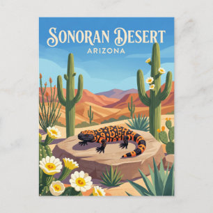 Cartão Postal Deserto de Sonora EUA