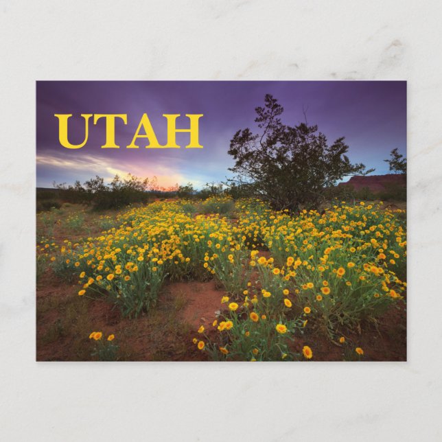 Cartão Postal Deserto de Utah (Frente)