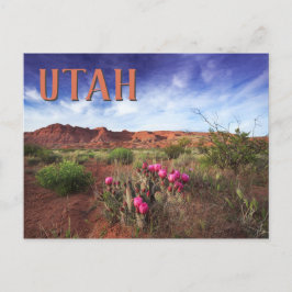 Cartão Postal Deserto de Utah Primavera Cactus