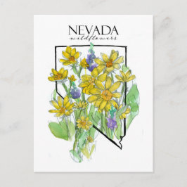 Cartão Postal Deserto Flores Selvagens Nevada Lupines Balsamroot