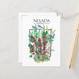 Cartão Postal Deserto Flores Selvagens Nevada Pintbrush