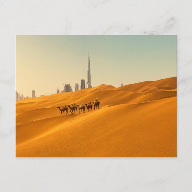 Cartão Postal Desertos | Vista Skyline do Dubai com Camelos (Frente)