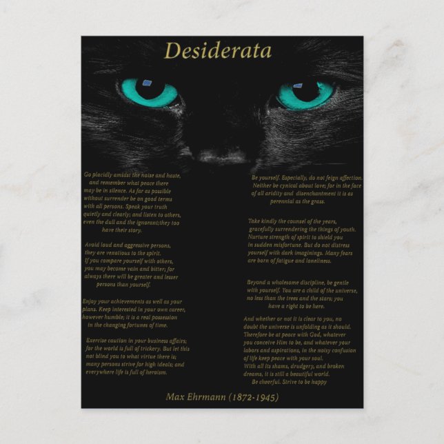 Cartão Postal Desiderata gato preto com seus olhos turquesa (Frente)