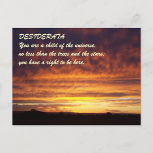 Cartão Postal DESIDERATA sunset