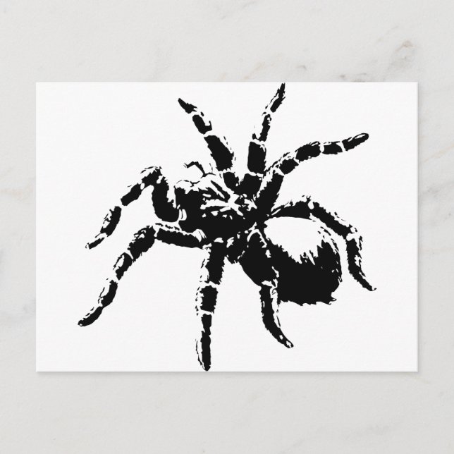Cartão Postal Design assustador Tarantula (Frente)