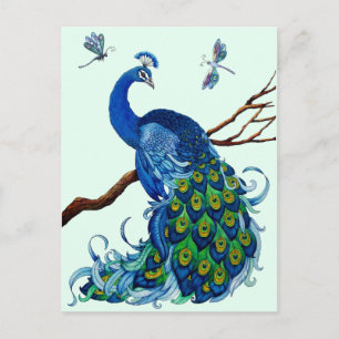 Cartão Postal Design Clássico de Peacock