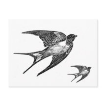 Design da andorinha do preto do vintage