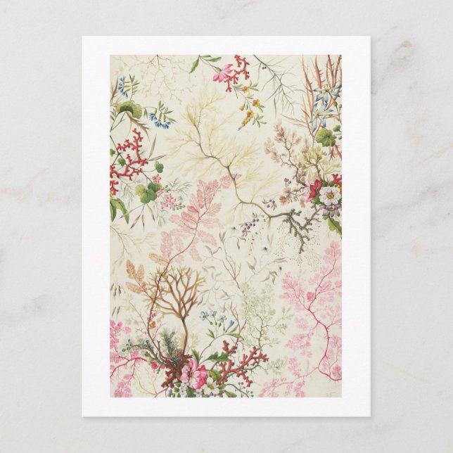 Cartão Postal Design de algas marinhas para matérias de seda (m/ (Frente)