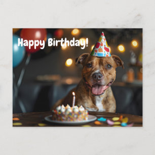Cartão Postal Design de aniversário de Staffordshire bull terrie