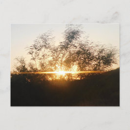 Cartão Postal design de cena de definição de placa de posto