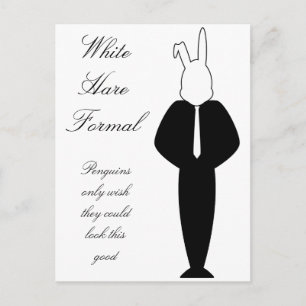 Cartão Postal Design de Coelho Branco