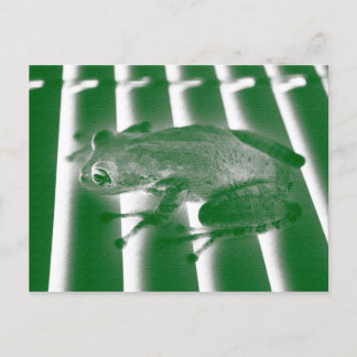 Cartão Postal design de esboço verde-esquerdo com sapo de árvore
