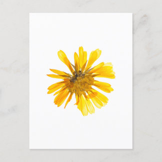 Cartão Postal Design de Flor Amarelo