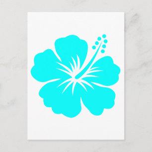 Cartão Postal Design de flor de Aqua hibiscus