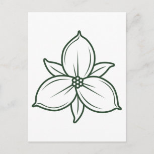 Cartão Postal design de flor de trilium linear elegante