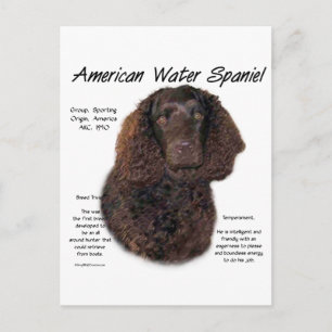 Cartão Postal Design de História Americana de Espanhol de Água