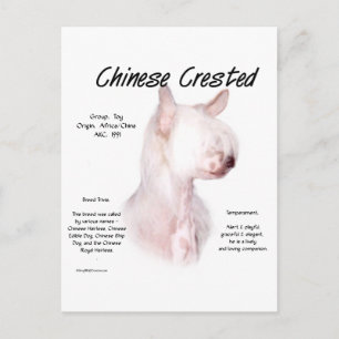 Cartão Postal Design de História Chinês Detido (sem pelo)