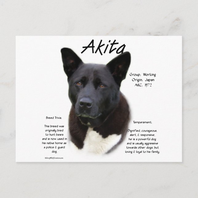 Cartão Postal Design de História de Akita Negro (Frente)