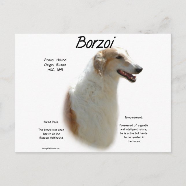 Cartão Postal Design de História de Borzoi (Frente)