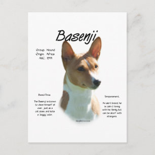 Cartão Postal Design de História de Chestnut Basenji, Tudo sobre